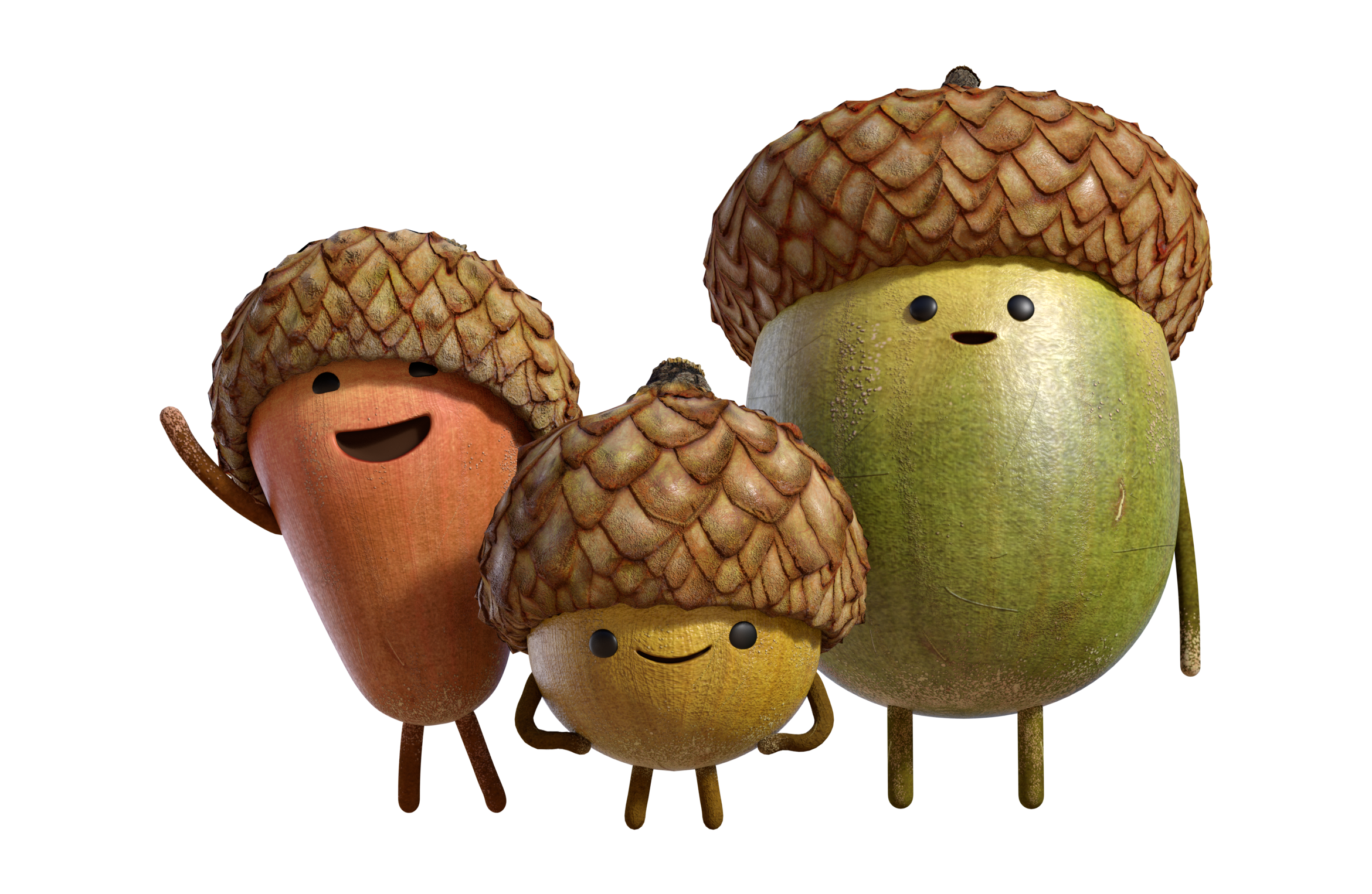 Acorns